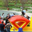 Gallery Image 678