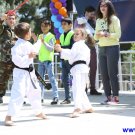 Gallery Image 2497