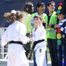 Gallery Image 2498