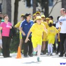 Gallery Image 2522