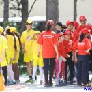 Gallery Image 2528