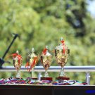 Gallery Image 2545