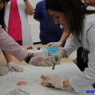 Gallery Image 2591