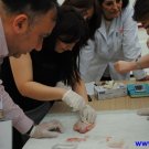 Gallery Image 2593