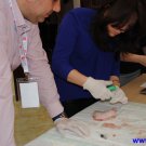 Gallery Image 2594