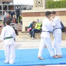 Gallery Image 4029