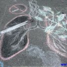 Gallery Image 2793