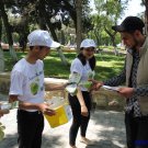Gallery Image 4264