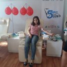 Gallery Image 1496