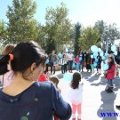 Gallery Image 2094