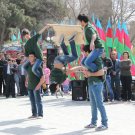 Gallery Image 224