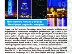 Gallery Image 505