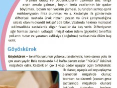 Gallery Image 222