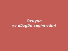 Gallery Image 248