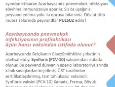 Gallery Image 251