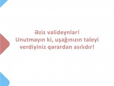 Gallery Image 256