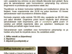 Gallery Image 357