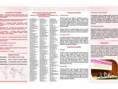 Gallery Image 398