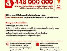 Gallery Image 646