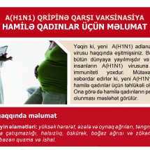 Gallery Image 364